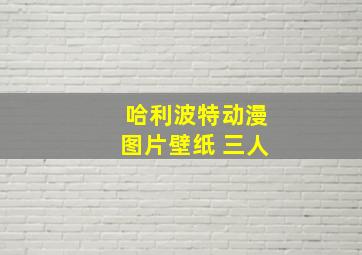 哈利波特动漫图片壁纸 三人